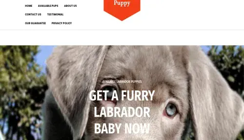A screenshot of Genlanfamilystbernard.com