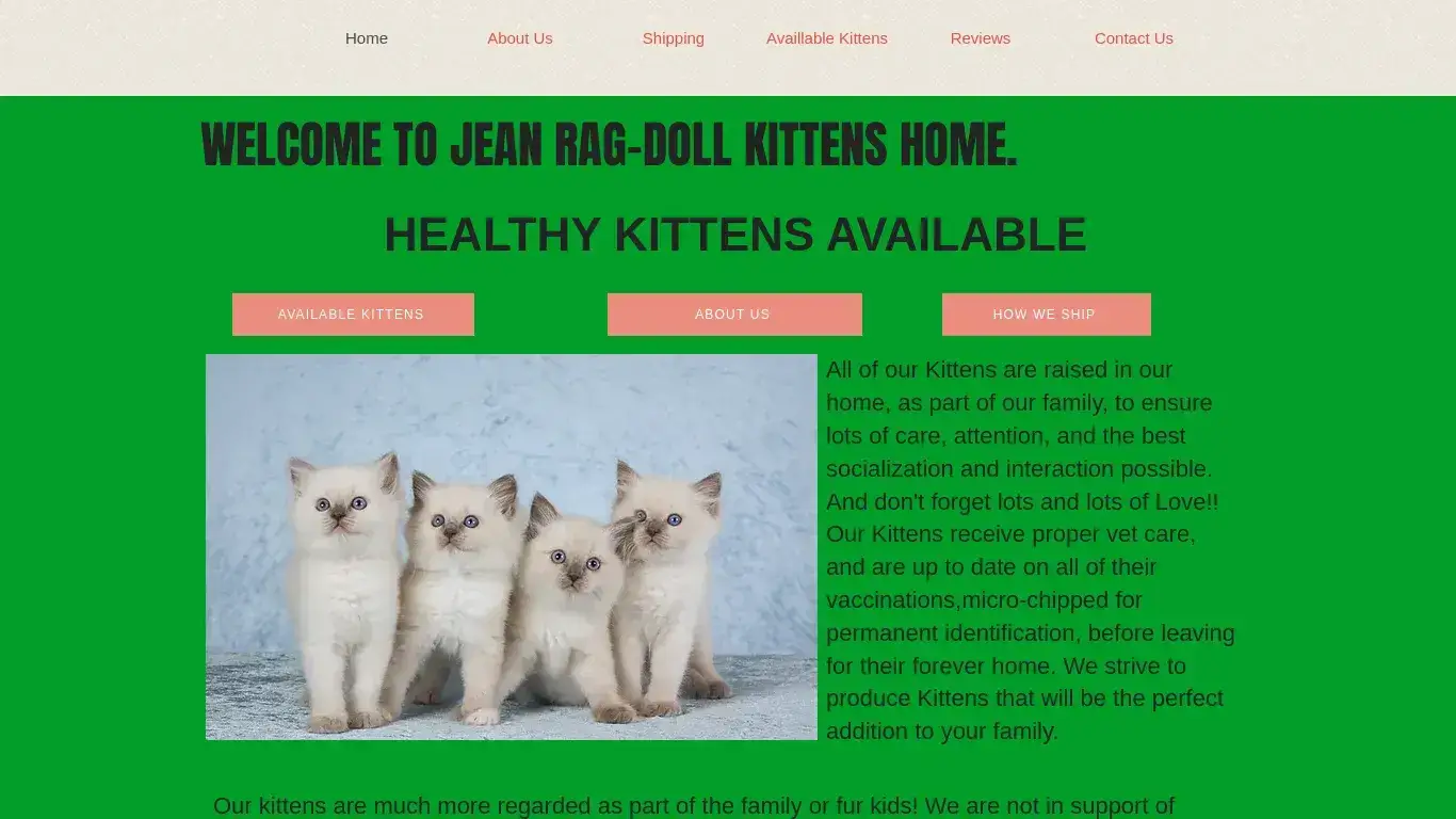is Home | Ragdoll Kittens legit? screenshot