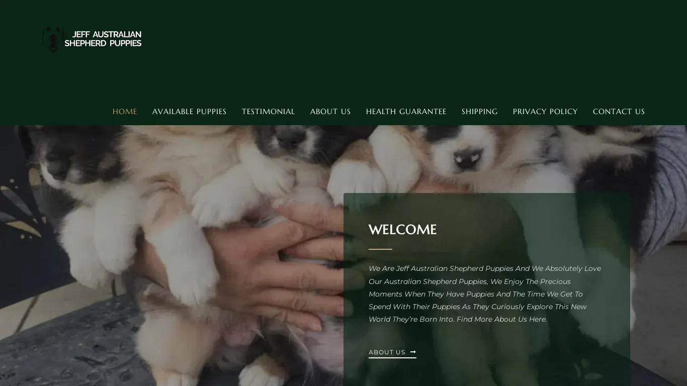 is jeffaustralianshepherdpuppies.com legit? screenshot