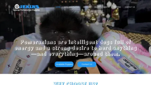 A screenshot of Jekinsteacuppomeranianpuppies.com
