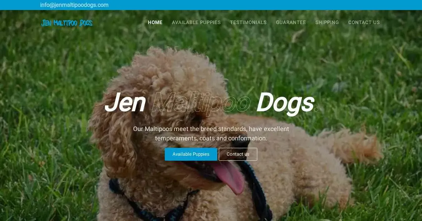 is jenmaltipoodogs.com legit? screenshot