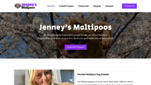 A screenshot of Jenneysmaltipoos.com