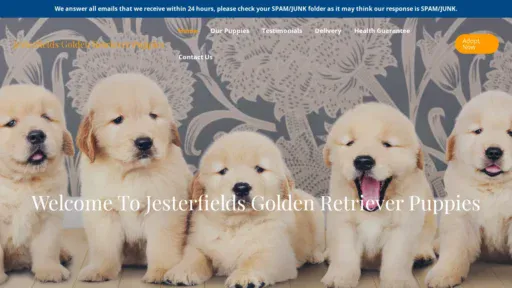 A screenshot of Jesterfieldsgoldenretrieverpuppies.com