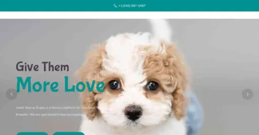 A screenshot of Genlanfamilystbernard.com