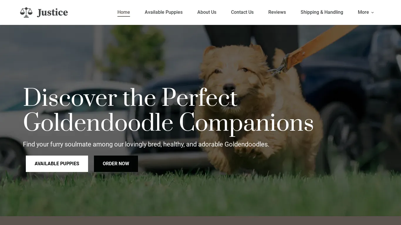 is jhgoldendoodlekennel.com legit? screenshot