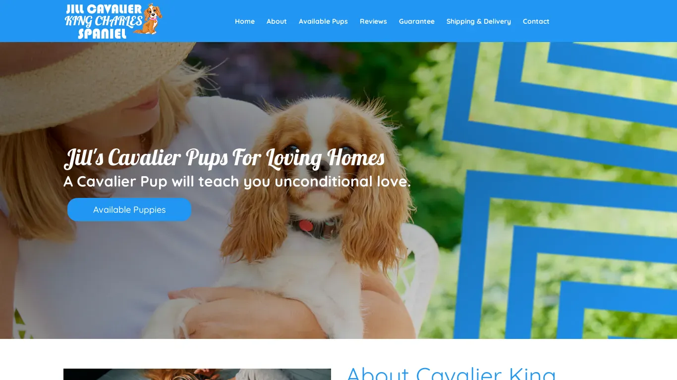 is jillcavalierkingcharlesspaniel.com legit? screenshot