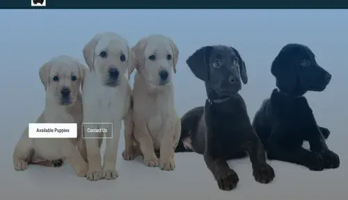 A screenshot of Genlanfamilystbernard.com