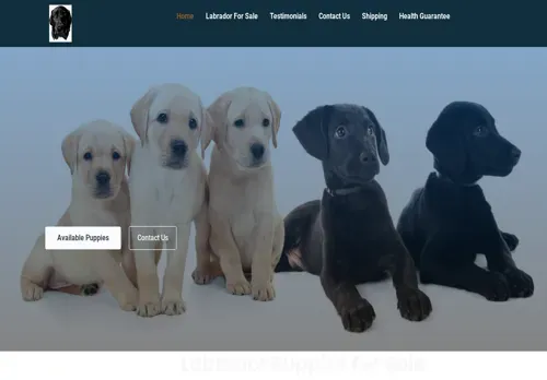is jimmycholabradorretriever.com legit? screenshot