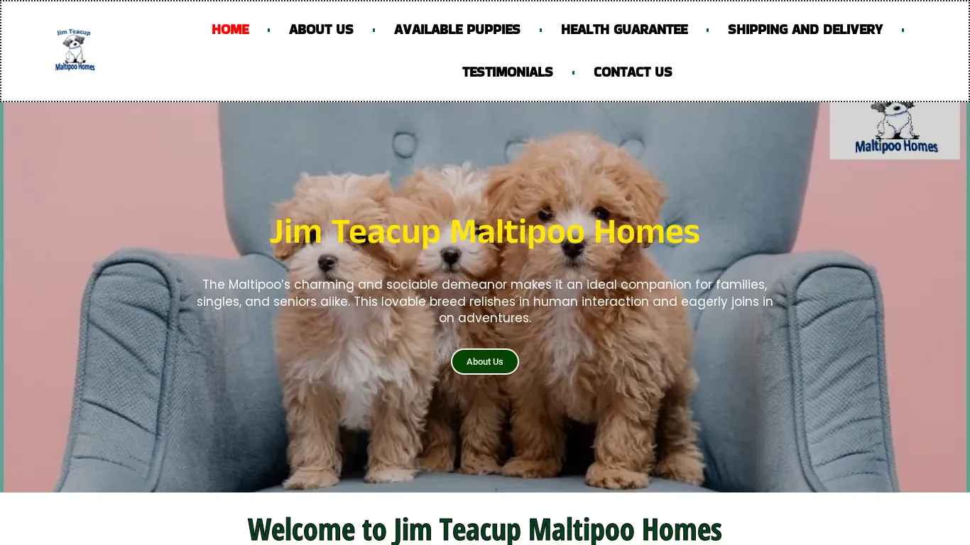 is jimteacupmaltipoohomes.com legit? screenshot