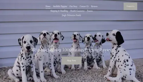 A screenshot of Genlanfamilystbernard.com
