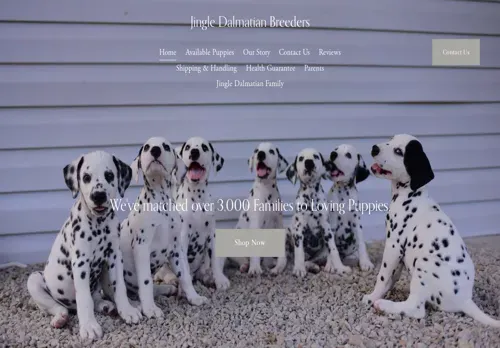 is jingledalmatianbreeders.com legit? screenshot