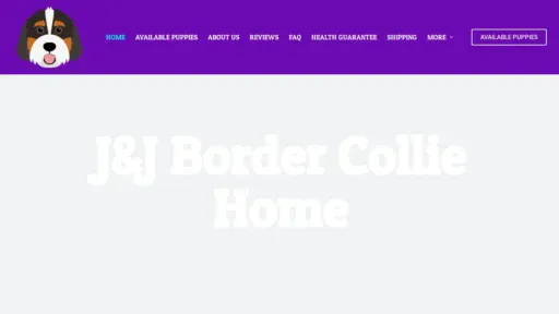 A screenshot of Jjbordercolliehome.com