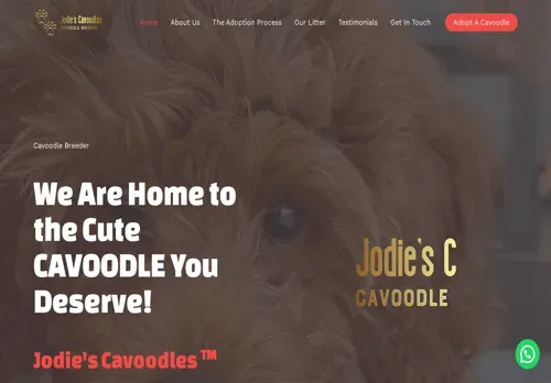 is jodiecavoodle.org legit? screenshot
