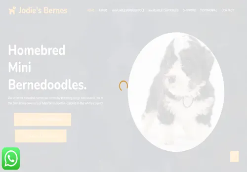 is jodieminibernedoodles.com legit? screenshot