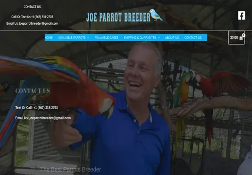 is joeparrotbreeder.com legit? screenshot