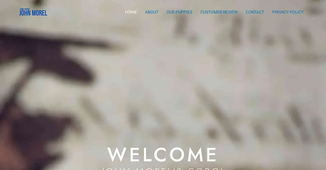 is johnmorelscorgipuppies.com legit? screenshot