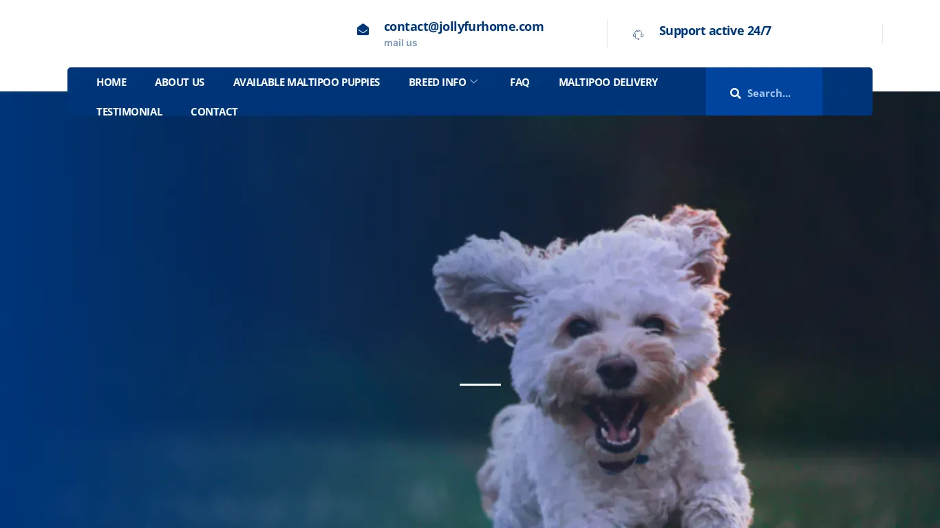 is Jolly fur home – maltipoo puppies legit? screenshot