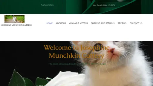 A screenshot of Josmunchkincattery.com