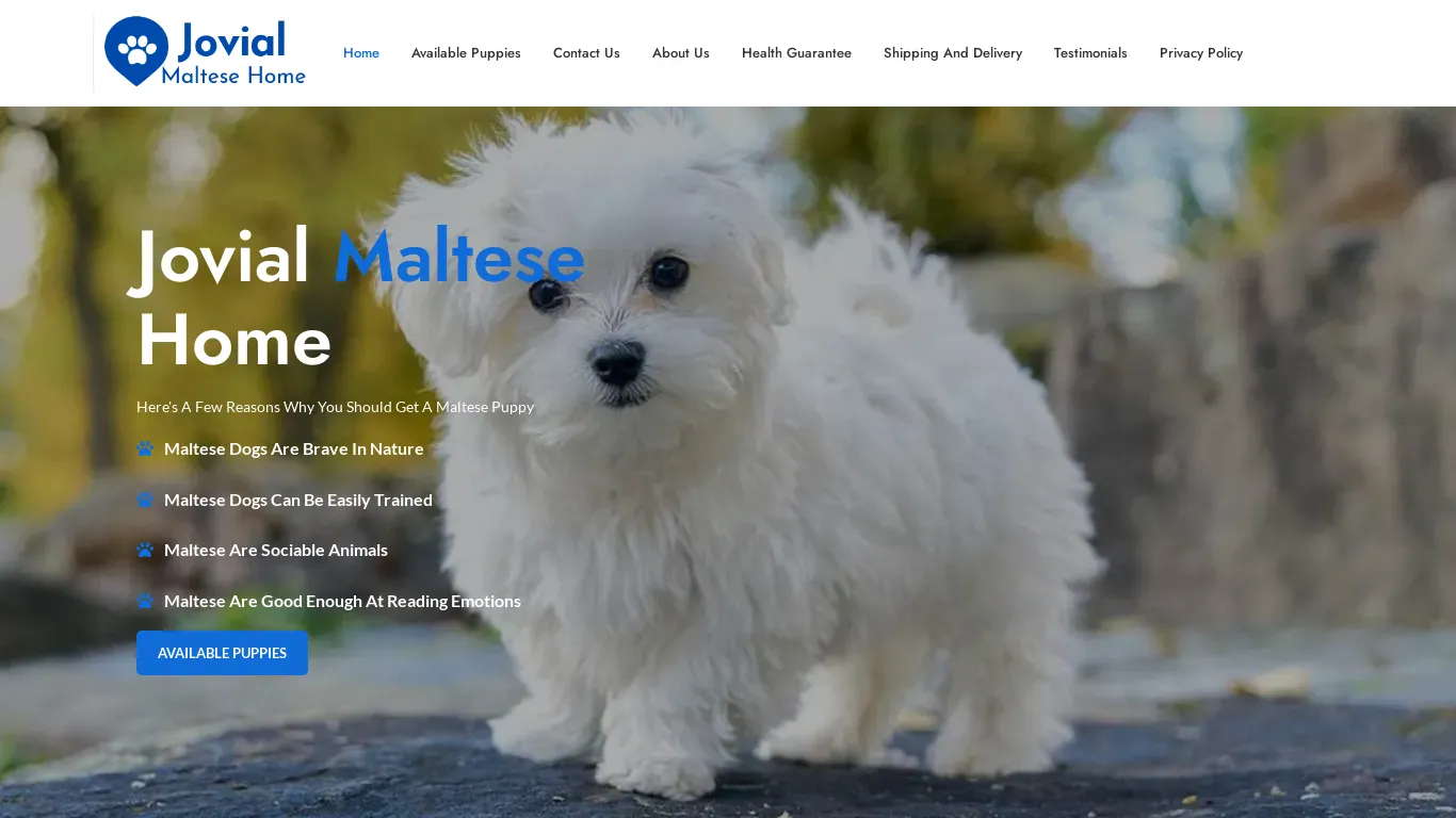 is jovialmaltesehome.com legit? screenshot