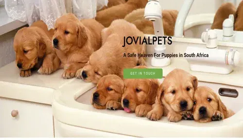 A screenshot of Genlanfamilystbernard.com