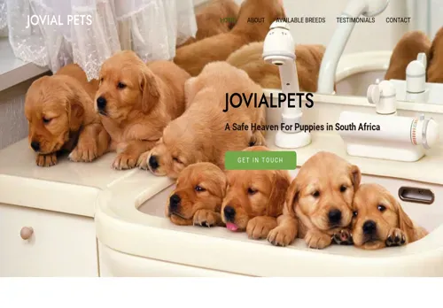 is jovialpets.co.za legit? screenshot
