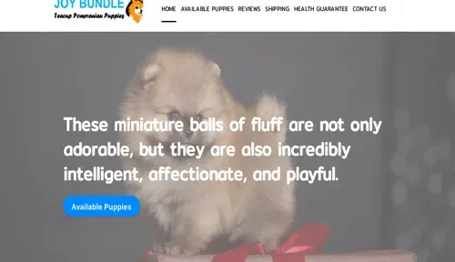 A screenshot of Genlanfamilystbernard.com