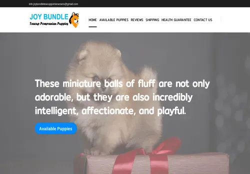 is joybondleteacuppomeranians.com legit? screenshot