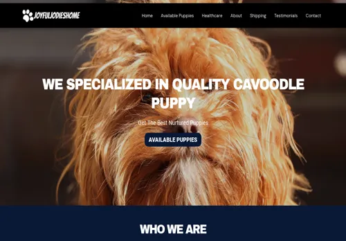 is joyfuljodieshome.com legit? screenshot