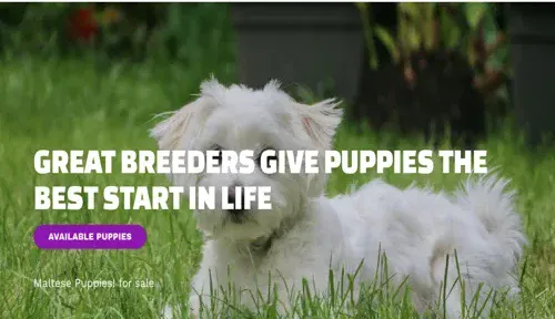 A screenshot of Genlanfamilystbernard.com