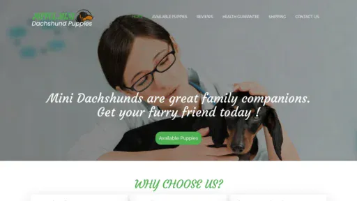 A screenshot of Joyfulminidachshundpuppies.com