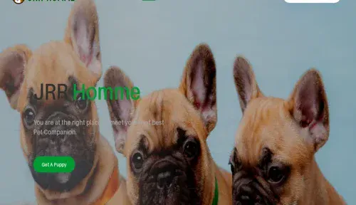 A screenshot of Genlanfamilystbernard.com