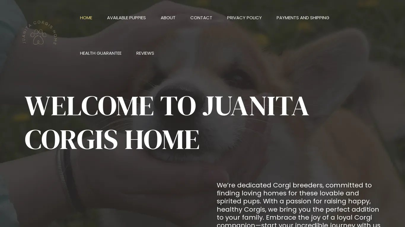 is juanitacorgishome.com legit? screenshot