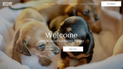 A screenshot of Juliewestlandsdachshundspuppies.com