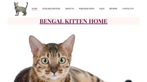 A screenshot of Junglebengalkitens.com