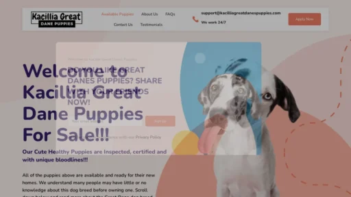 A screenshot of Kacilliagreatdanespuppies.com