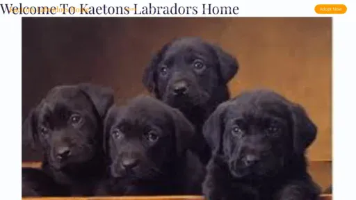 A screenshot of Kaetonslabradorshome.com
