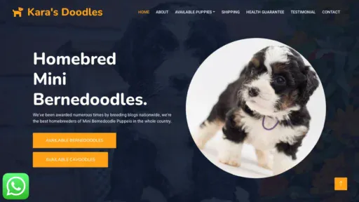 A screenshot of Karasdoodles.com