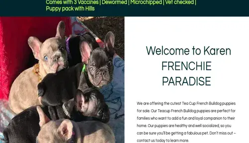 A screenshot of Genlanfamilystbernard.com