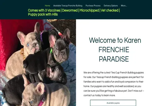 is karenfrenchie.com legit? screenshot