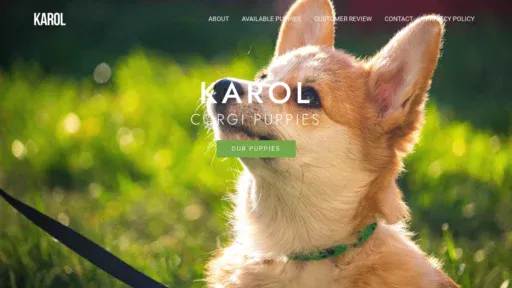 A screenshot of Karolscorgipuppies.shop