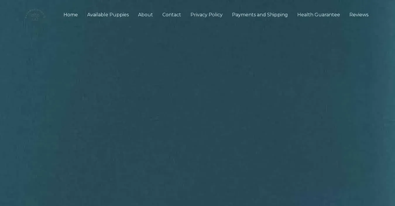 is kathryncorgis.com legit? screenshot