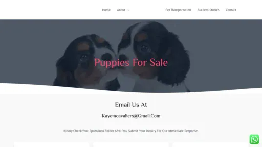 A screenshot of Kayemcavaliers.com