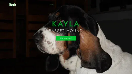 A screenshot of Kaylasbassethoundpuppies.shop