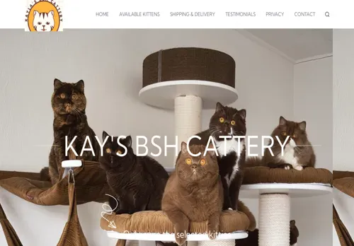 is kaylasbritishshothairkittens.com legit? screenshot