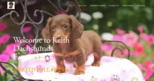 A screenshot of Genlanfamilystbernard.com