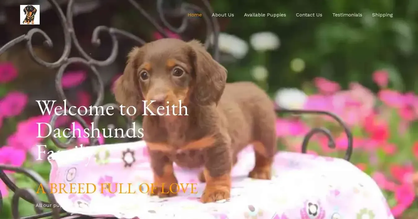 is kdachshunds.com legit? screenshot
