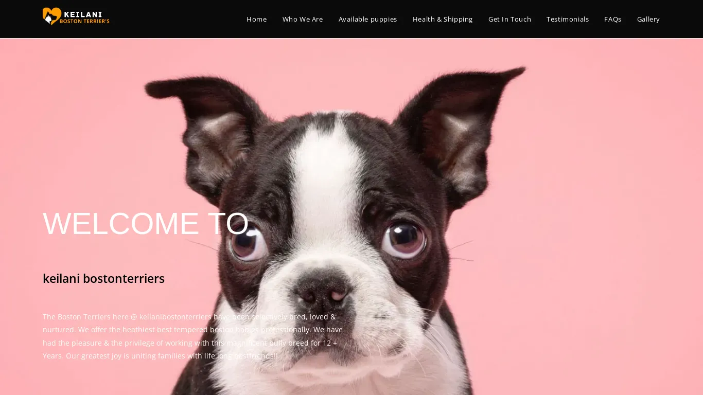 is keilanibostonterriers.com legit? screenshot