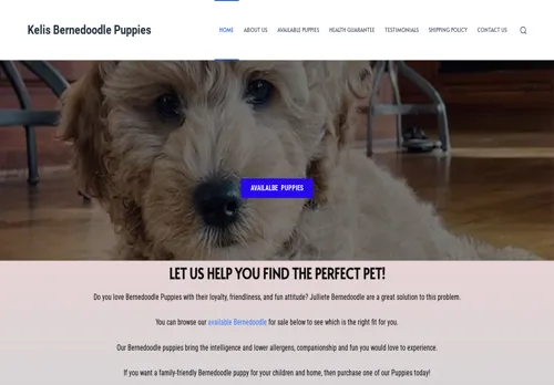 is kelisbernedoodles.com legit? screenshot