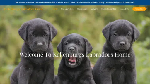 A screenshot of Kellenburgslabradorshome.com