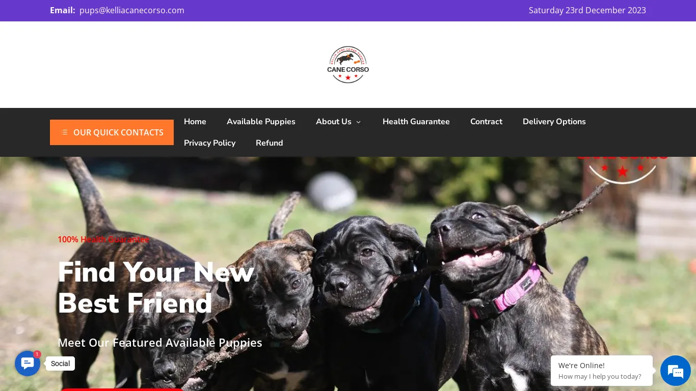 A screenshot of Kelliacanecorso.com